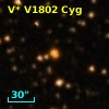 V* V1802 Cyg