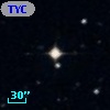 TYC  558-217-1