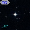 TYC  558-334-1