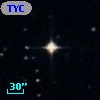 TYC  558-484-1