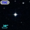 TYC  558-699-1