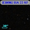 [CSH96] SSA 22  87