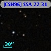 [CSH96] SSA 22  31