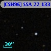 [CSH96] SSA 22 133