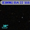 [CSH96] SSA 22 111