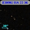 [CSH96] SSA 22  36