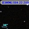 [CSH96] SSA 22 213