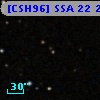 [CSH96] SSA 22  28
