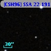[CSH96] SSA 22 191