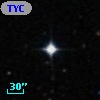 TYC  559-392-1