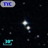 TYC  559-522-1