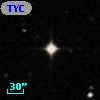 TYC  559-631-1