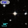 TYC  559-1193-1