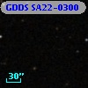 GDDS SA22-0300