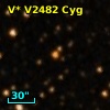 V* V2482 Cyg