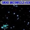 1RXS J023052.2+534554