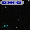 [GSI2003] 028