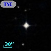 TYC  567-594-1