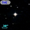 TYC  567-2036-1