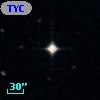 TYC  568-987-1