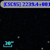 [CSC85] 2239.4+0018