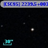 [CSC85] 2239.5+0031