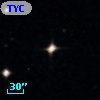 TYC  568-595-1