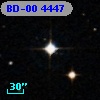 BD-00  4447