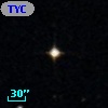 TYC  579-117-1
