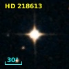 HD 218613