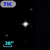 TYC  577-262-1