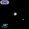 TYC  577-317-1