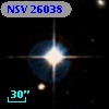 NSV 26038