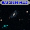 IRAS 23190+0110
