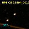 BPS CS 22894-0010