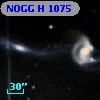 NOGG H 1075