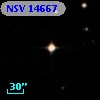 NSV 14667