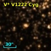 V* V1222 Cyg
