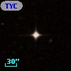 TYC  586-919-1