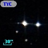 TYC  590-1272-1