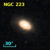 NGC   223