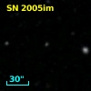 SN 2005im