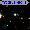 TYC 3318-607-1