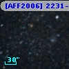 [AFF2006] 2231-2