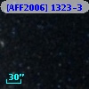 [AFF2006] 1323-3