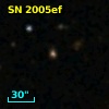 SN 2005ef