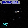 [TNT96] 123