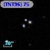 [TNT96]  75