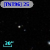 [TNT96]  25