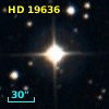 HD  19636